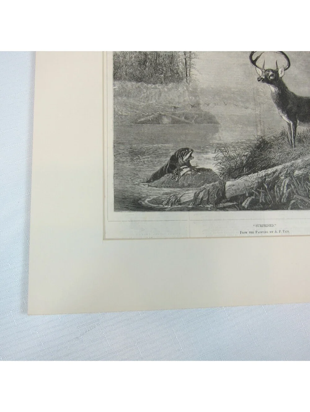 Antique 1800s Lake Deer Stag & Otter Print 